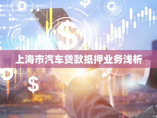 上海市汽車(chē)貸款抵押業(yè)務(wù)淺析 上海市汽車(chē)貸款抵押業(yè)務(wù)淺析