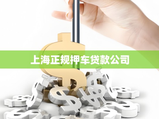 上海正規(guī)押車貸款公司 上海正規(guī)押車貸款公司