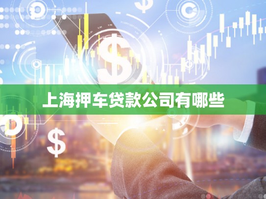 上海押車貸款公司有哪些 上海押車貸款公司有哪些