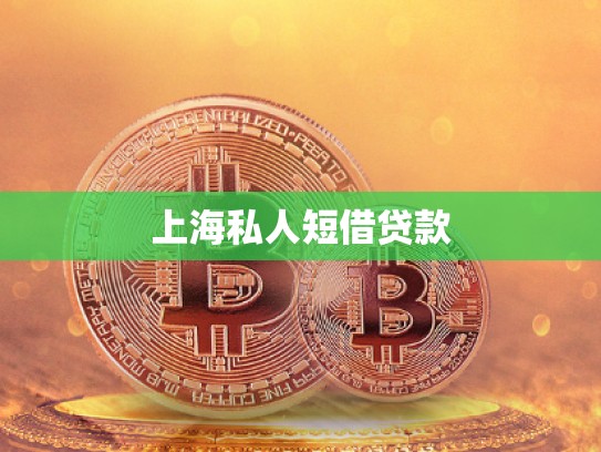 上海私人短借貸款 上海私人短借貸款
