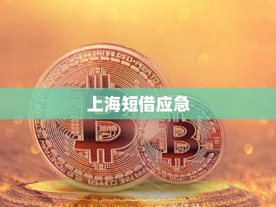 上海短借應(yīng)急 上海短借應(yīng)急