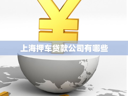 上海押車貸款公司有哪些 上海押車貸款公司有哪些