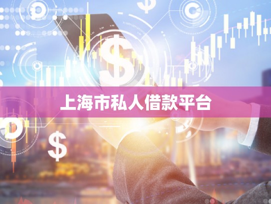 上海市私人借款平臺(tái) 上海市私人借款平臺(tái)