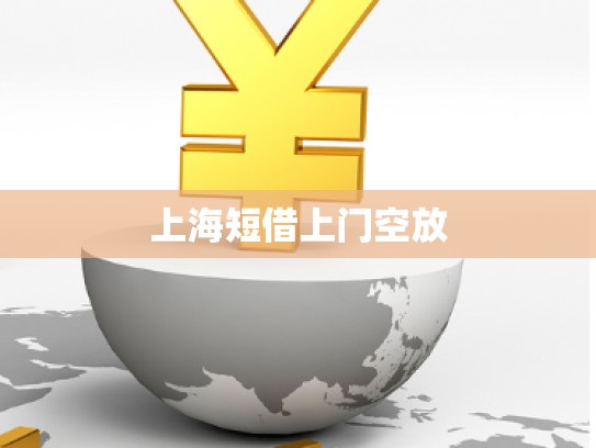上海短借上門空放 上海短借上門空放