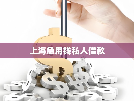 上海急用錢私人借款 上海急用錢私人借款