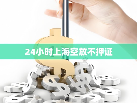 24小時上海空放不押證