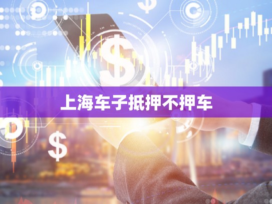 上海車子抵押不押車 上海車子抵押不押車