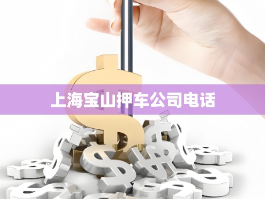 上海寶山押車公司電話 上海寶山押車公司電話
