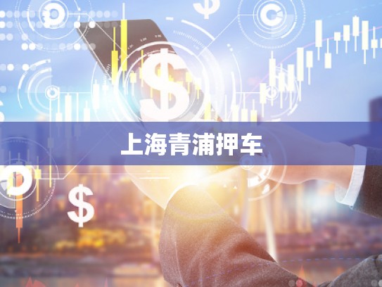 上海青浦押車 上海青浦押車