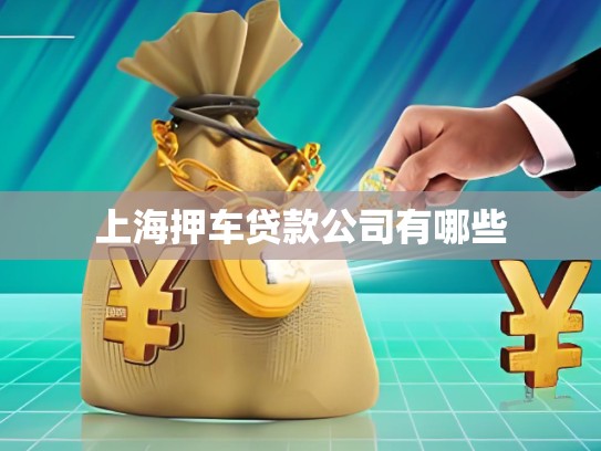 上海押車貸款公司有哪些 上海押車貸款公司有哪些