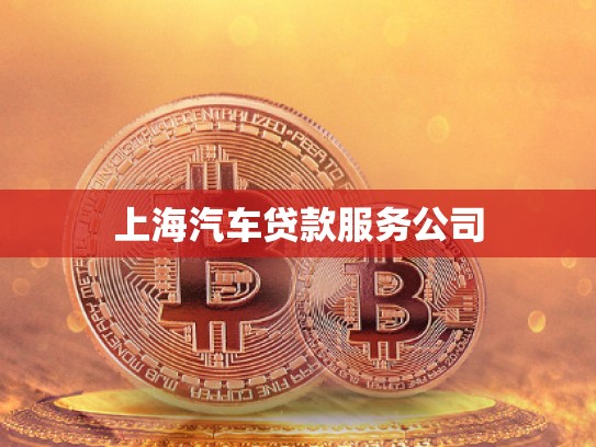 上海汽車貸款服務公司 上海汽車貸款服務公司