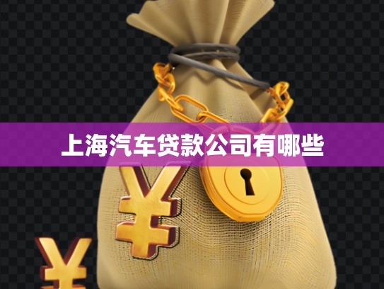 上海汽車(chē)貸款公司有哪些