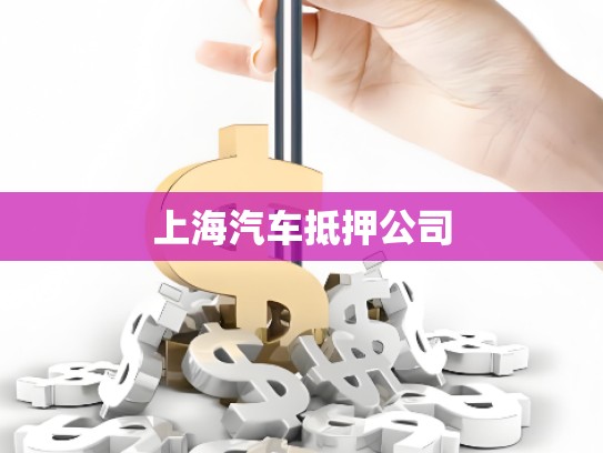 上海汽車(chē)抵押公司 上海汽車(chē)抵押公司
