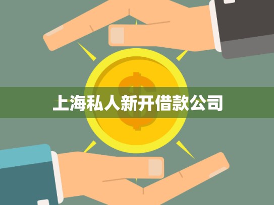 上海私人新開借款公司