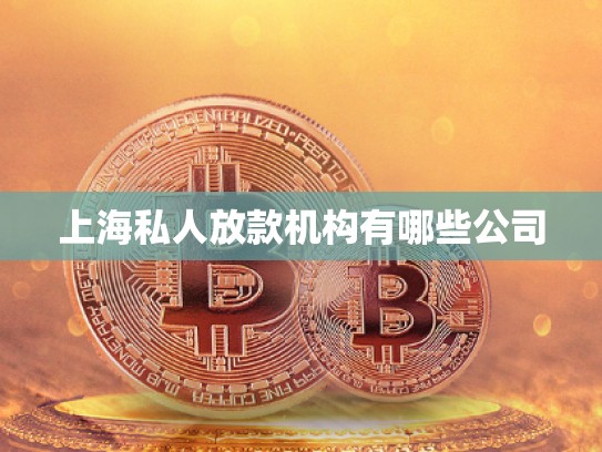 上海私人放款機構(gòu)有哪些公司 上海私人放款機構(gòu)有哪些公司