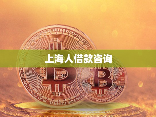 上海人借款咨詢 上海人借款咨詢