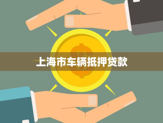 上海市車(chē)輛抵押貸款 上海市車(chē)輛抵押貸款