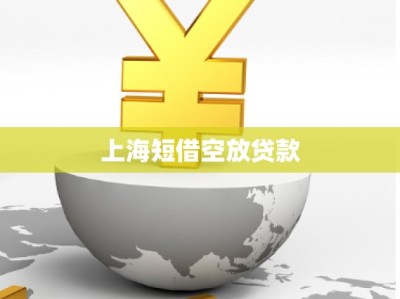 上海短借空放貸款