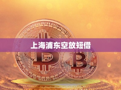 上海浦東空放短借