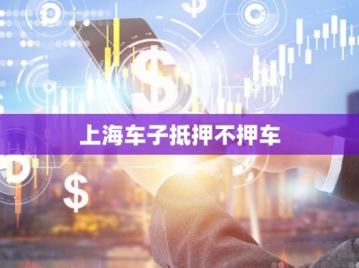 上海車子抵押不押車