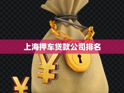 上海押車貸款公司排名