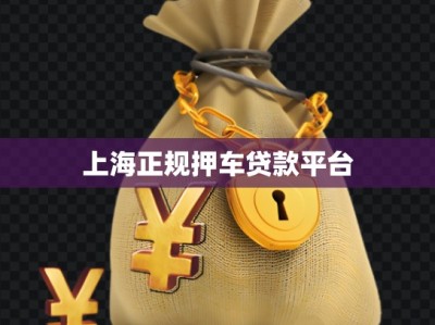 上海正規(guī)押車貸款平臺(tái)