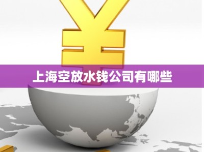 上海空放水錢公司有哪些